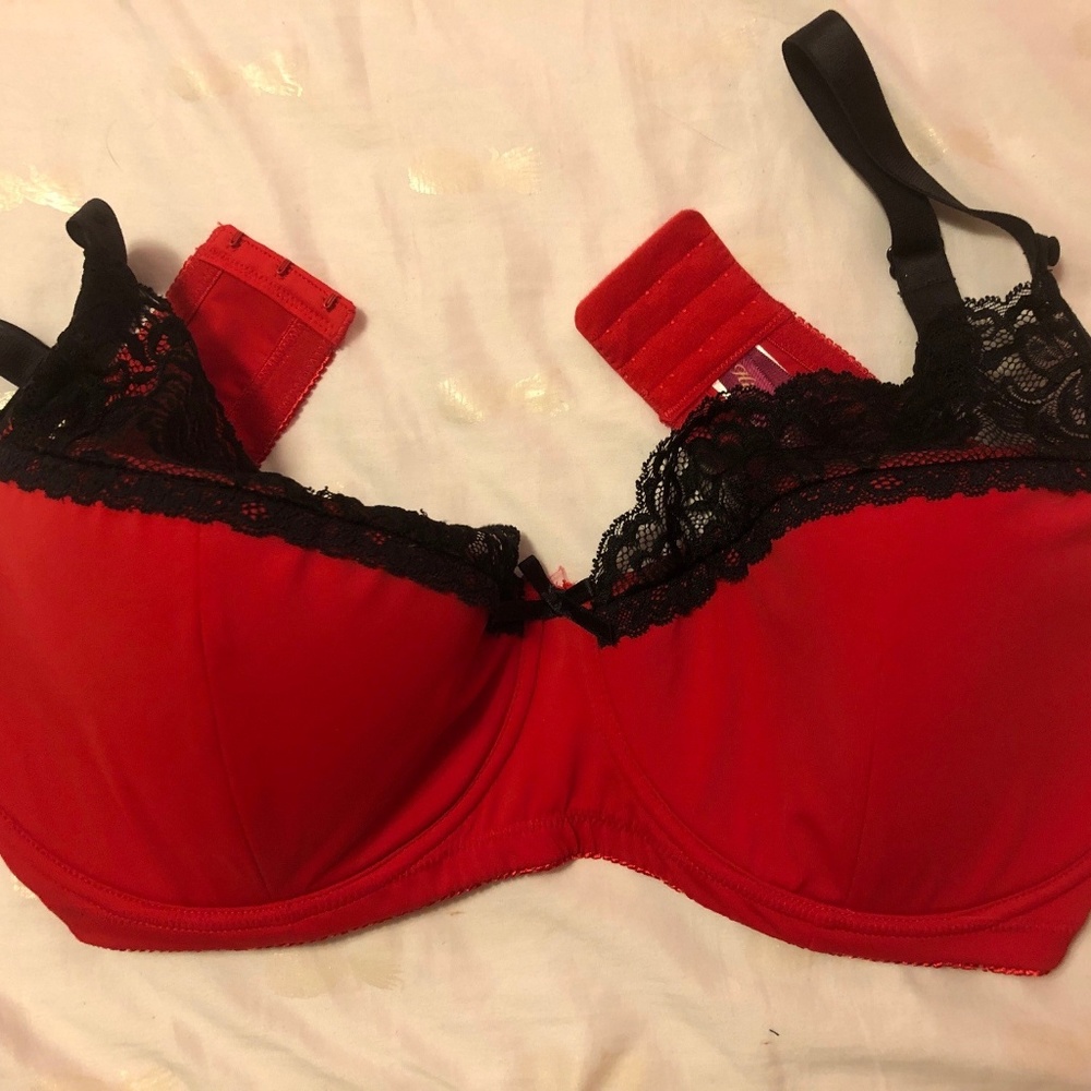 Red and Black Pus-Size Bra with Convertible Lace